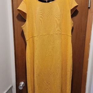 Zippered Ribbed Midi Capped Sleeve Dress Cato